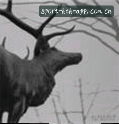 大鹏